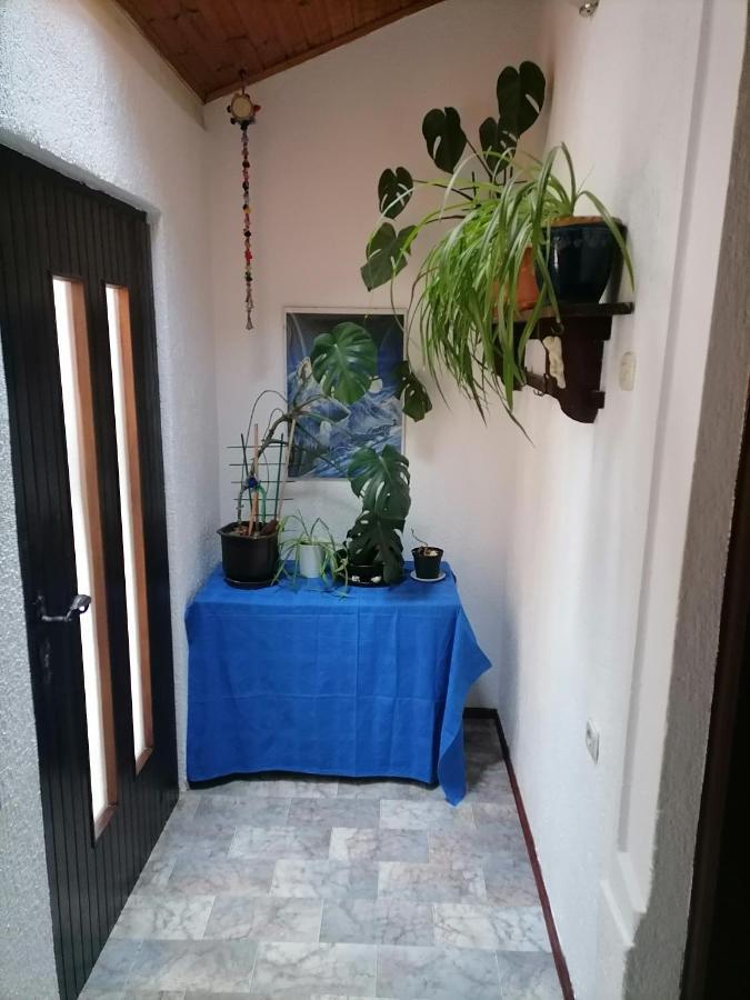 Apartman Zepina Pula Luaran gambar